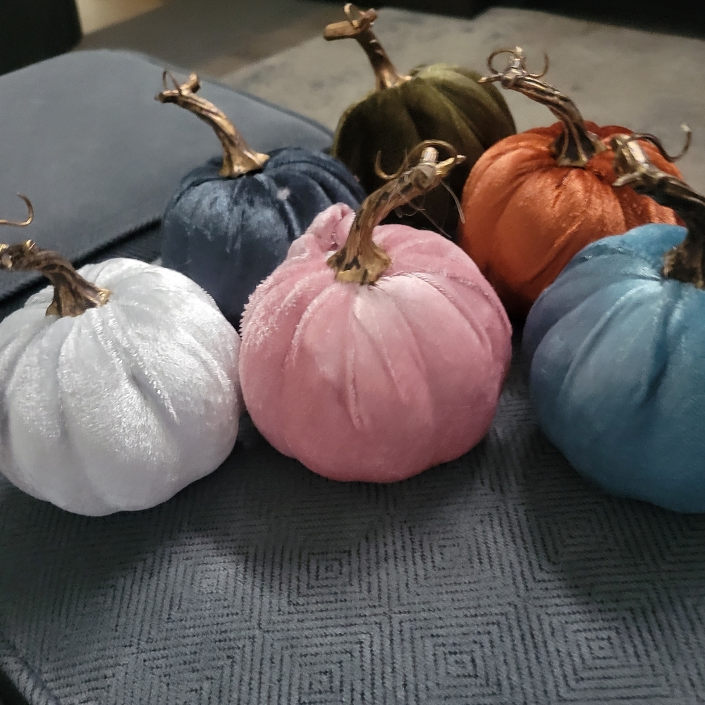 Set of 6 Dollar Tree Velvet Pumpkins - Picture 2 of 9